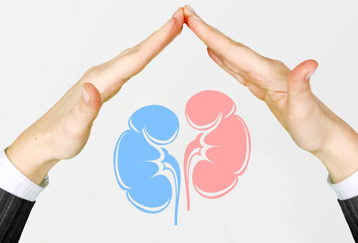 预防肾病，从生活细节做起