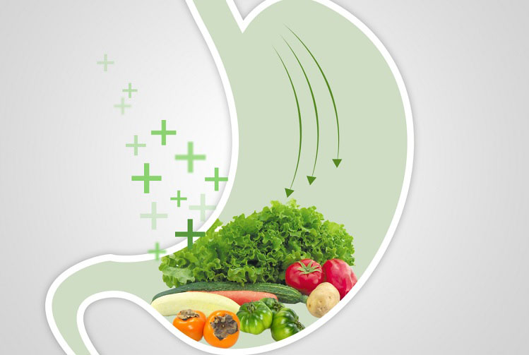 脾胃好坏，决定了身体好坏