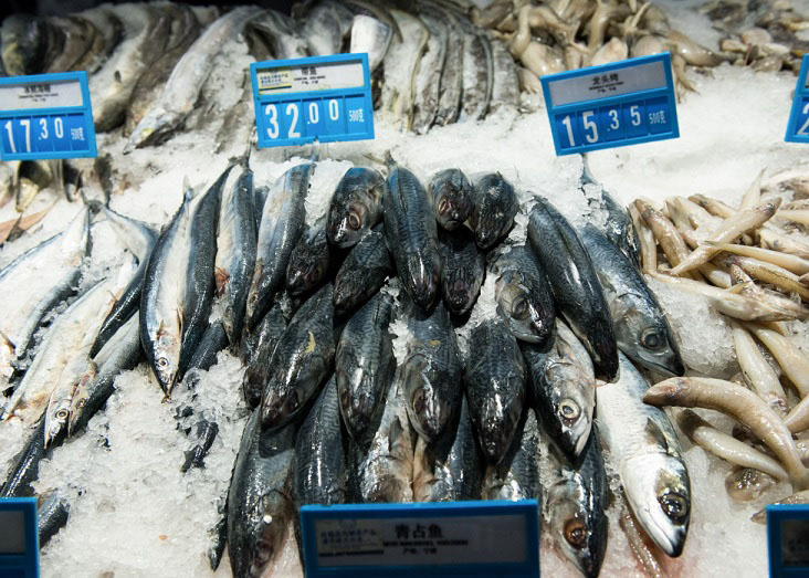 您知道食用核污染海产品的危害吗