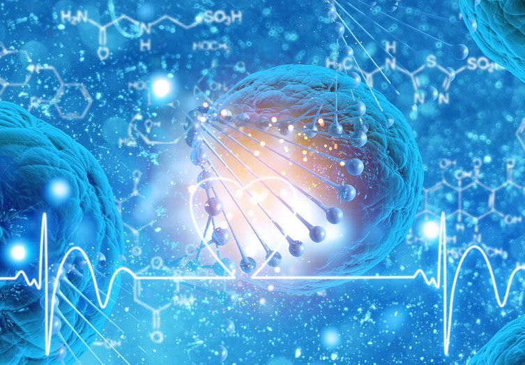 关于植物人那些不得不知道事儿