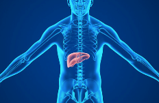 肝病患者健康饮食指导手册