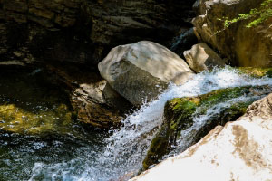 关于“生水”你知道多少？