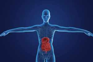 消化功能出现了异常？点进来告诉你原因