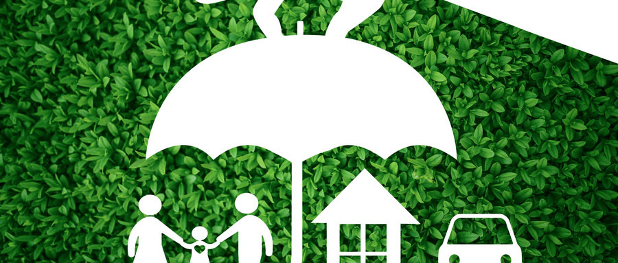 保险种类这么多，应该先买那种险？