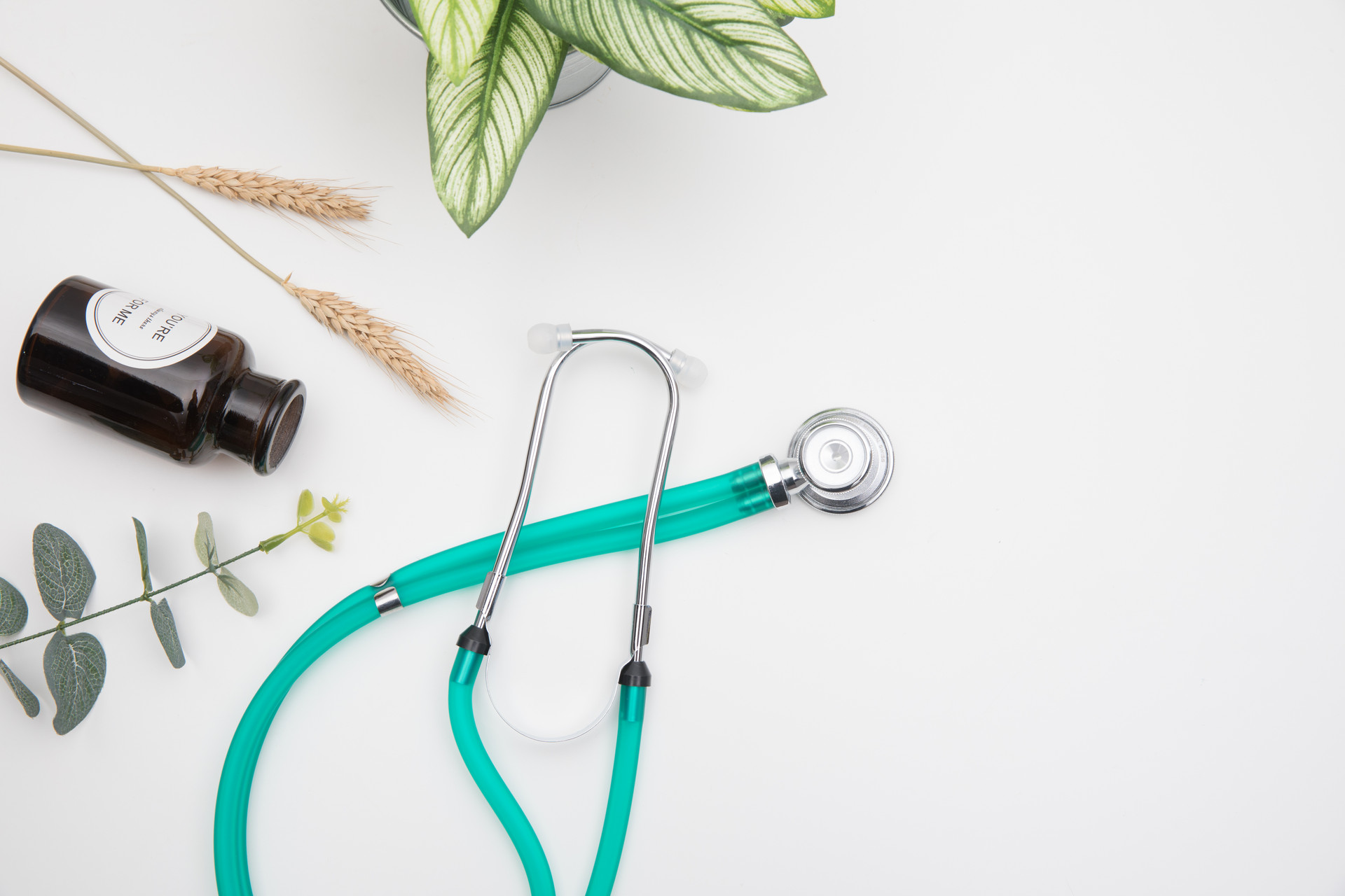 怕长胖少吃米饭还是猪肉？看这篇就知道了