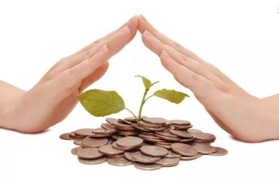 增额终身寿险哪家好