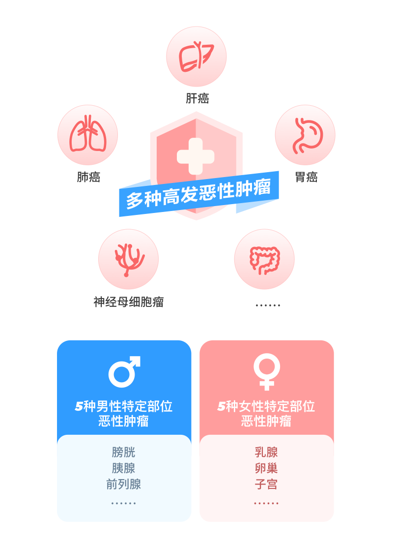 高发癌症精准保障 男女特定疾病额外赔